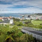 DownUnder [07] – Wellington