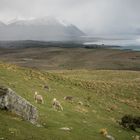 DownUnder [20] - Snow in the Mountains