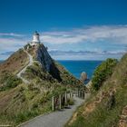 DownUnder [36] – Nugget Point Lighthouse