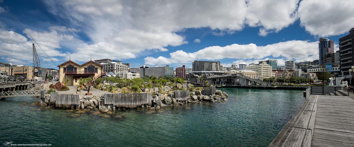 DownUnder [37] – Wellington Seaside