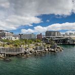 DownUnder [37] – Wellington Seaside