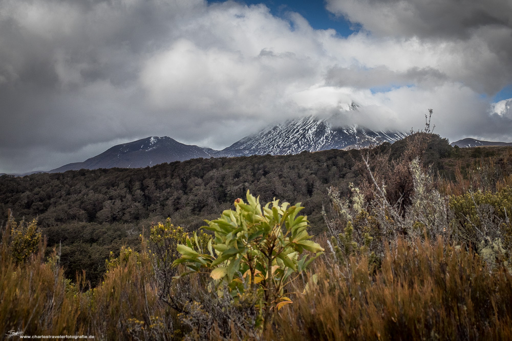 DownUnder [56] – Veiled Mount Ngauruhoe