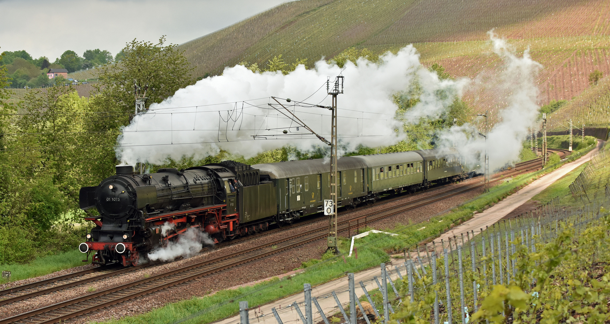 DPE 61953 bei Wiltingen(Saar)