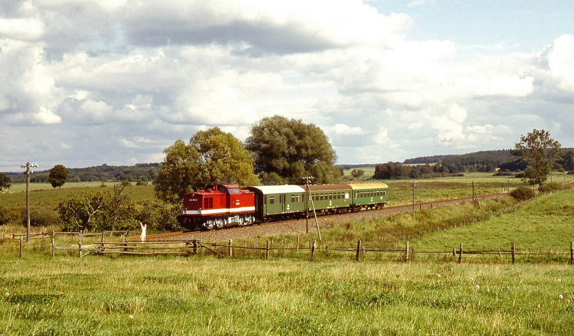 DR V100 in Mecklenburg (4)