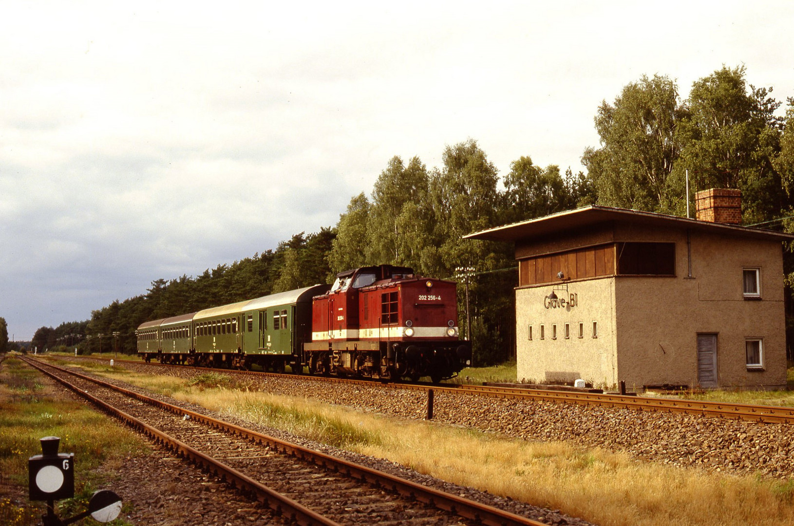 DR V100 in Mecklenburg(3)