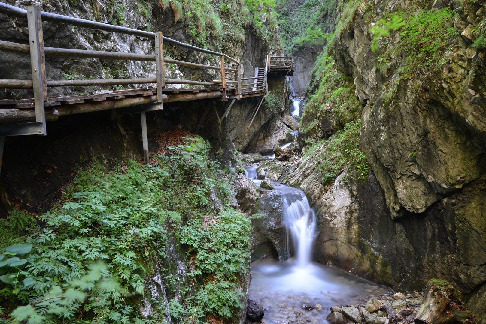 DR. VOGELGESANG-KLAMM