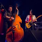 Dr. Will and the Wizards - Juergen Reiter - Upright Bass