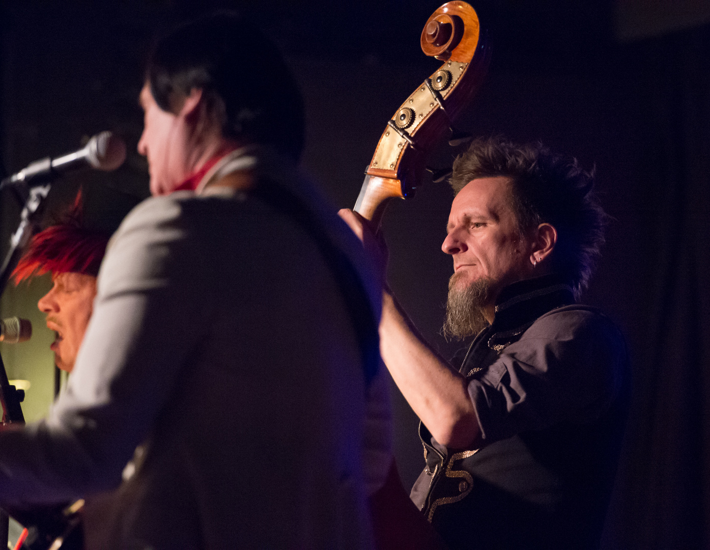 Dr. Will and the Wizards - Juergen Reiter - Upright Bass