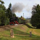 DR Zug Abschied in Oberwiesenthal 01