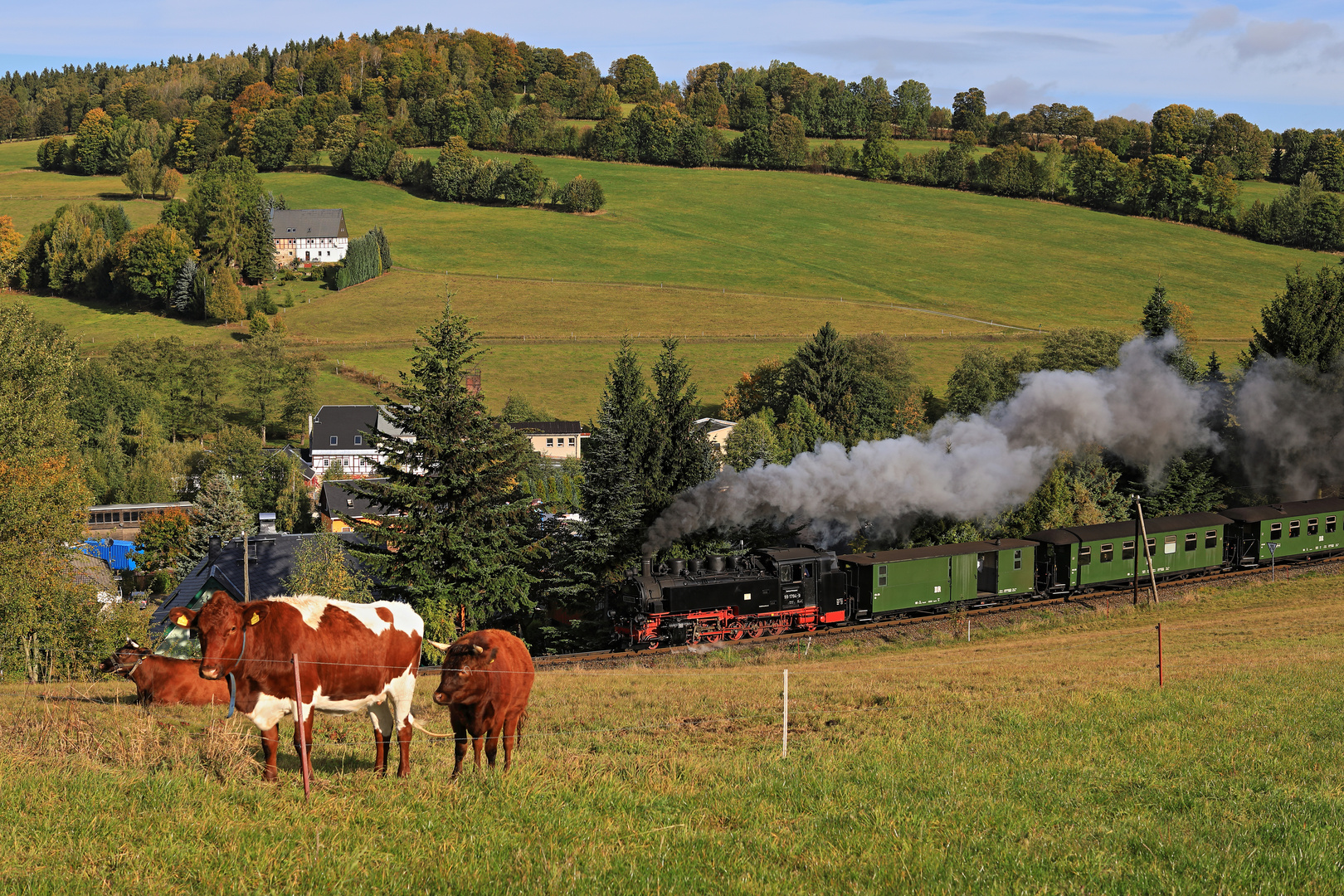 DR Zug Abschied in Oberwiesenthal 04