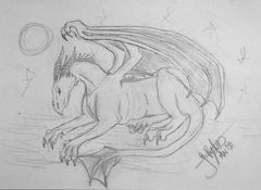 Drache 2005