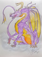 Drache 2010