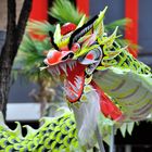 Drache beim chinesischen Neujahrjahrsfest