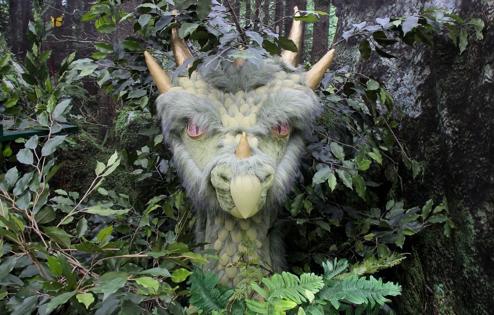 Drache im Zauber-Wald