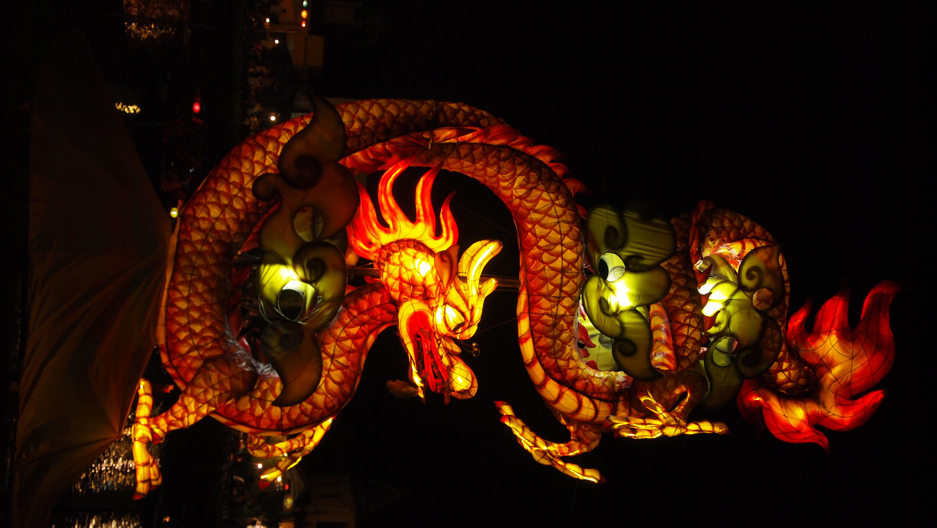 Drache in Hoi An Vietnam