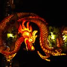 Drache in Hoi An Vietnam