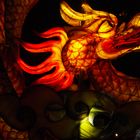 Drache in Hoi An Vietnam