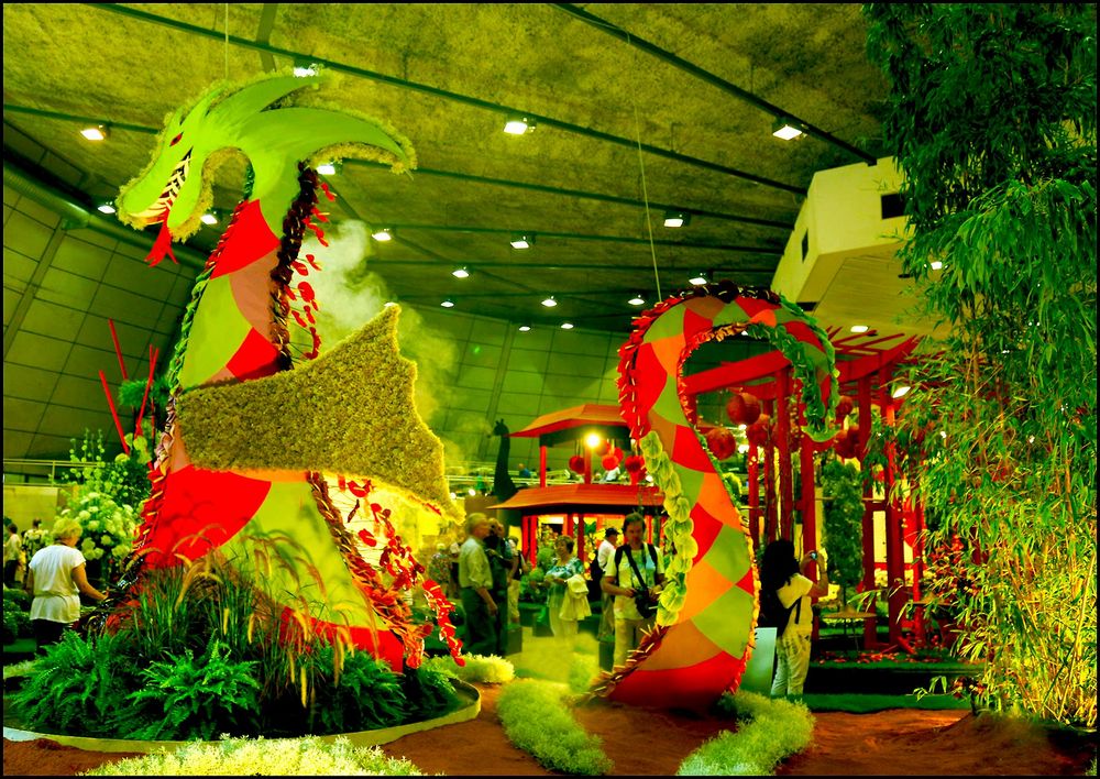 Drachen Foto & Bild | motive, tulln gartenschau gestecke Bilder auf