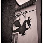 Drachen in Lübeck!