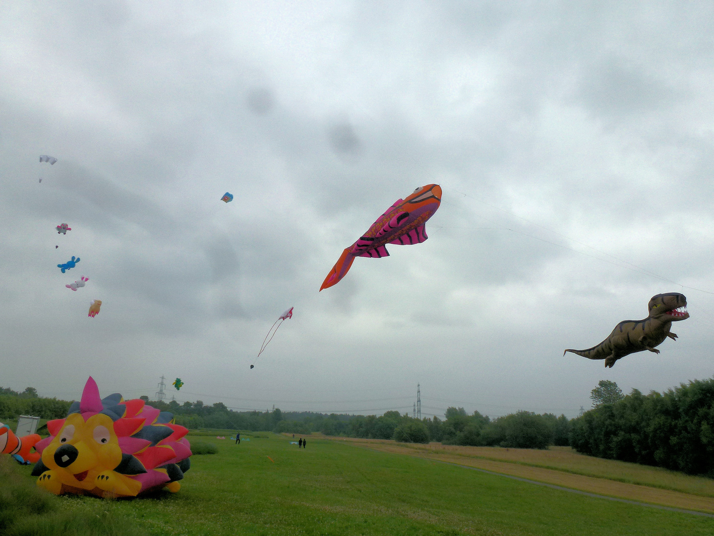 Drachen steigen auch bei Nieselregen