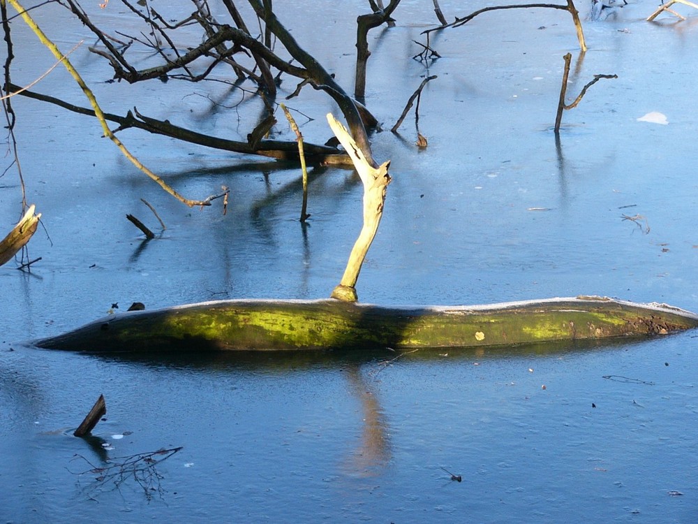 Drachen-U-Boot im arktischen Eis