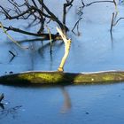 Drachen-U-Boot im arktischen Eis