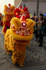 Drachen und Löwenfest, Hong Kong