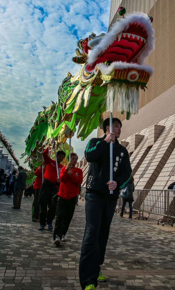 Drachen und Löwenfest, Hong Kong