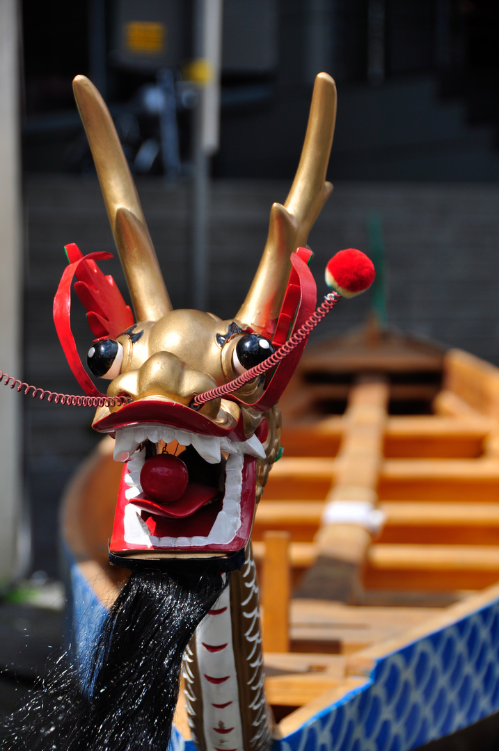 Drachenboot beim Dragon Boat Race Düsseldorf