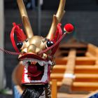 Drachenboot beim Dragon Boat Race Düsseldorf