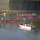 Drachenboot - Regatta