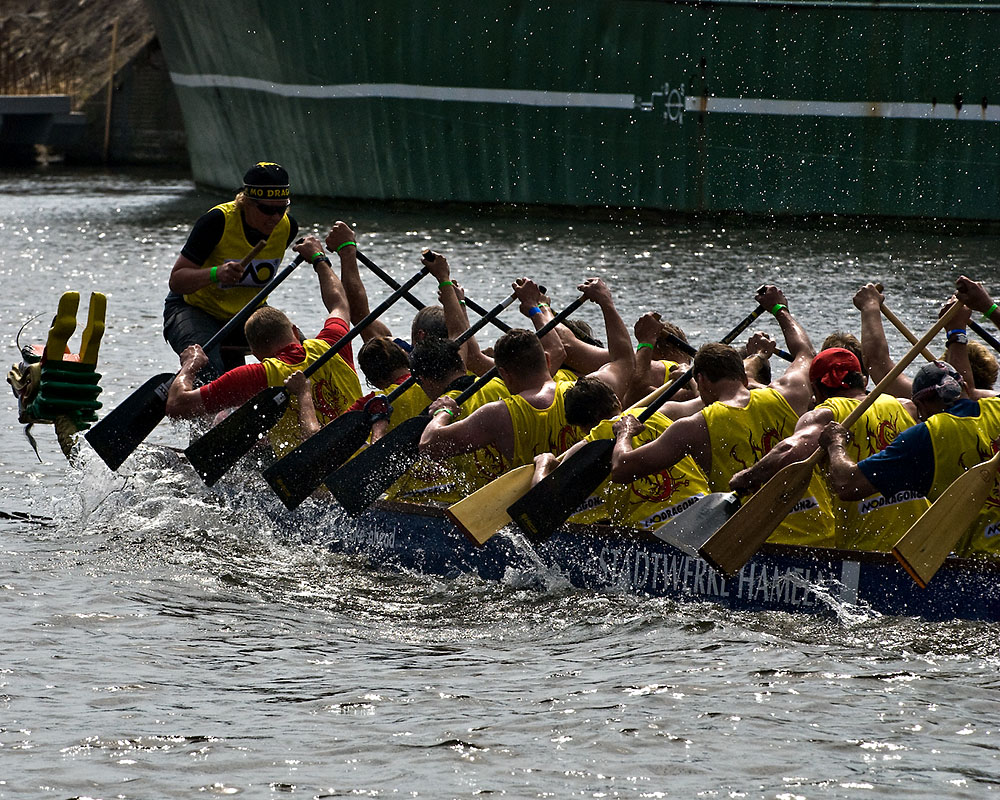 drachenboot synchron