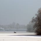 Drachenbootfahrer auf halbzugefrorenem See, P1370759_FB