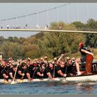 Drachenbootrennen auf dem Weser