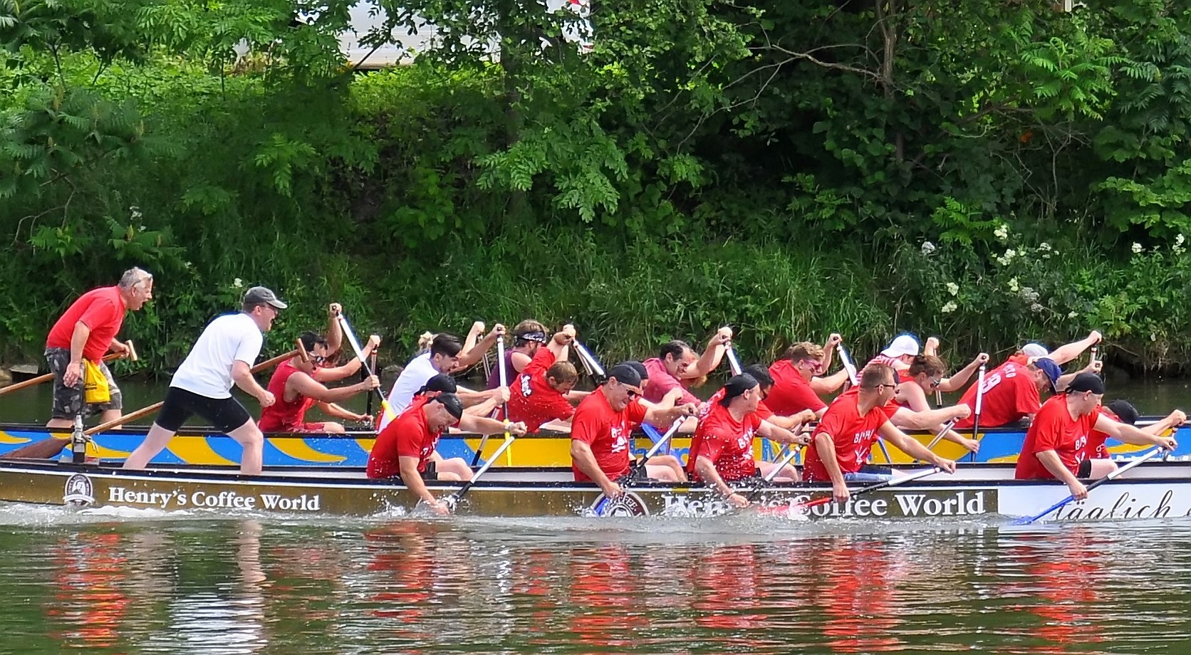 Drachenbootrennen auf der Donau