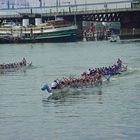 Drachenbootrennen in Darling Harbour