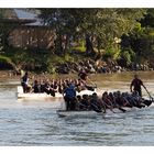 Drachenbootwettbewerb am Donaukanal