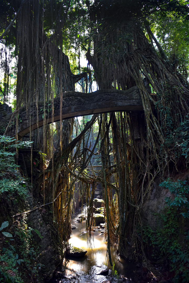Drachenbrücke im Monkey Forest