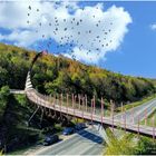 Drachenbrücke in Recklinghausen