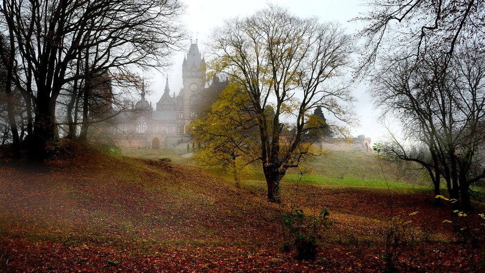 Drachenburg als Kulisse für den Herbst