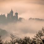 Drachenburg im Nebel