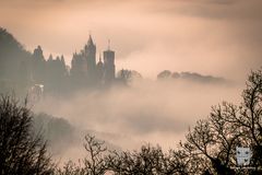 Drachenburg im Nebel