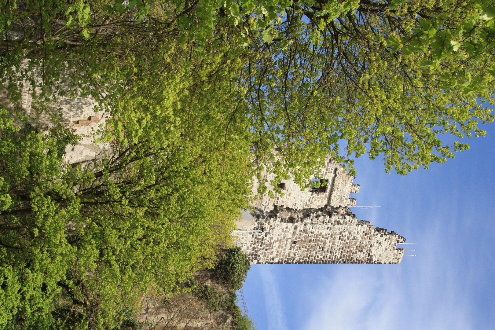 Drachenfels