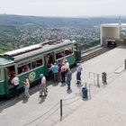 Drachenfels 2013 -5-