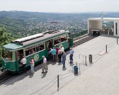 Drachenfels 2013 -5-