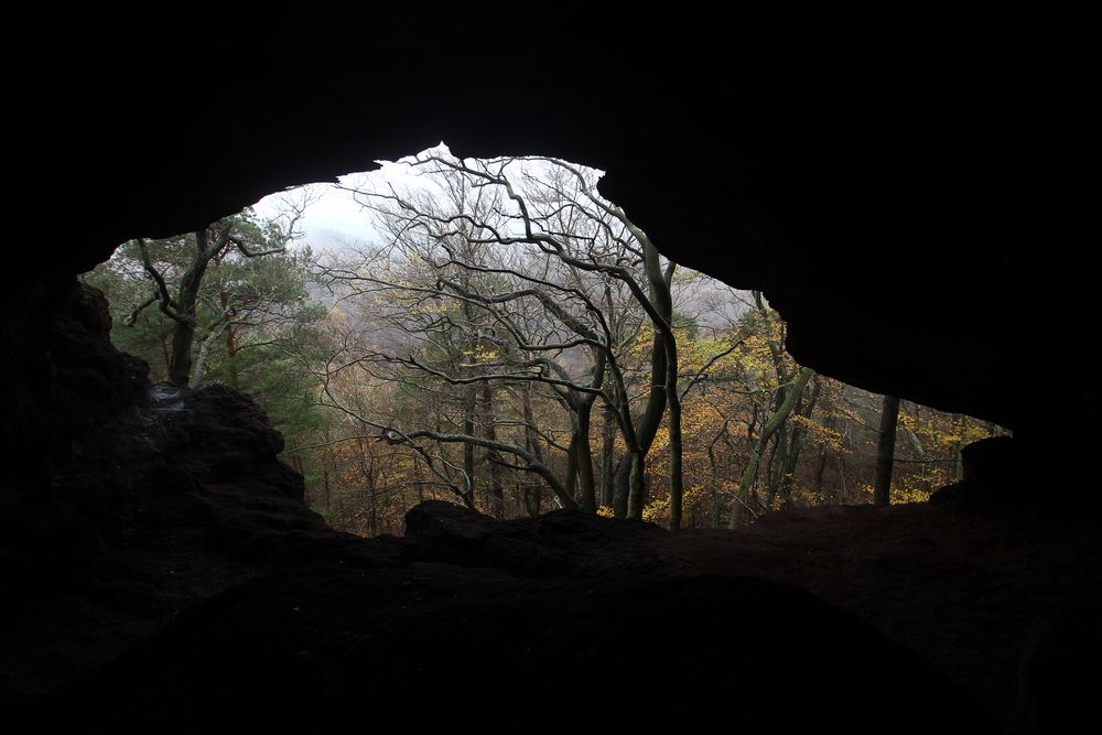 Drachenfels