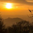 Drachenfels