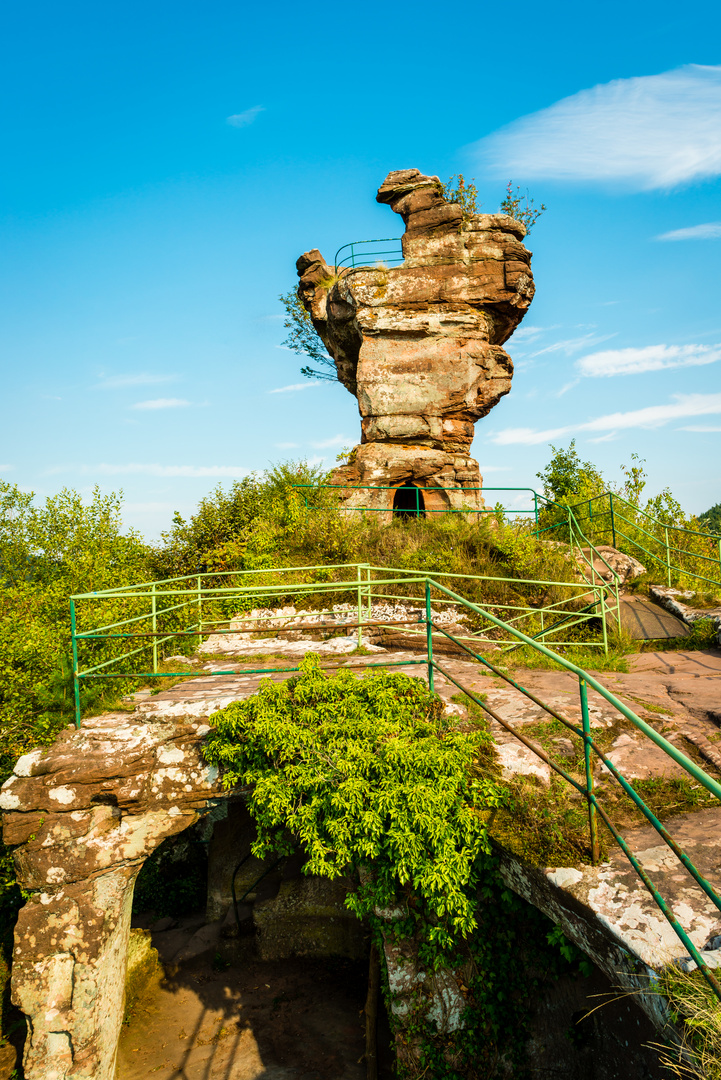 Drachenfels - Backenzahn 17