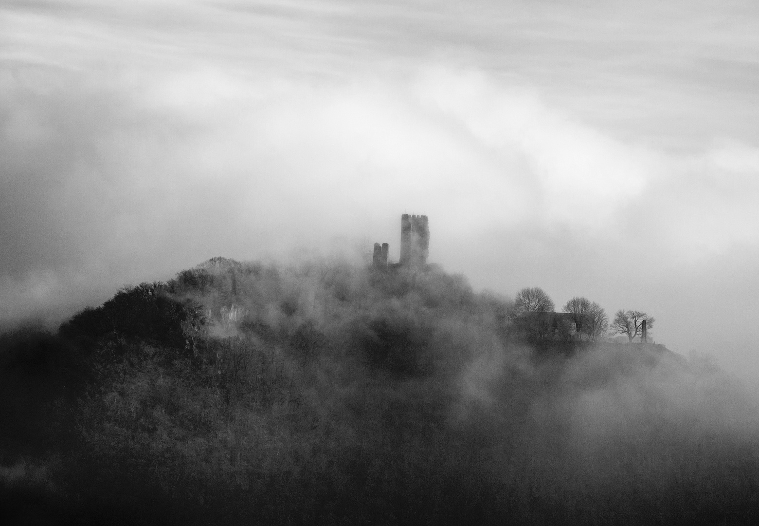 Drachenfels bei Königswinter im Winternebel