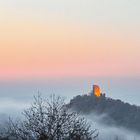 Drachenfels bei Sonnenaufgang